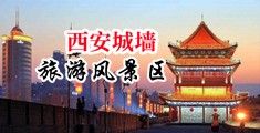 免费看黄的网页中国陕西-西安城墙旅游风景区