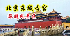 小骚逼被艹喷了视频中国北京-东城古宫旅游风景区